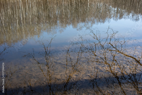 lake in spring park, reflection of trees, background