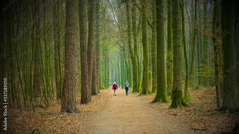 Fototapeta premium Spaziergänger im Wald
