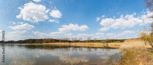 pond with reeds near sytno village with cloudy sky