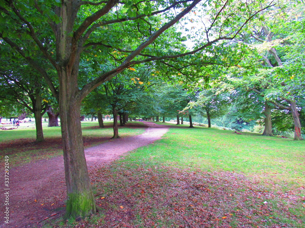 Richmond Park. National Nature Reserve