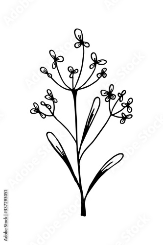 Hand drawn floral design element. Vector illustration in sketch style isolated on white