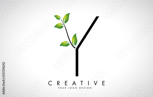 Leaf Letter Y Logo Design with Green Leaves on a Branch. Letter Y with nature concept.