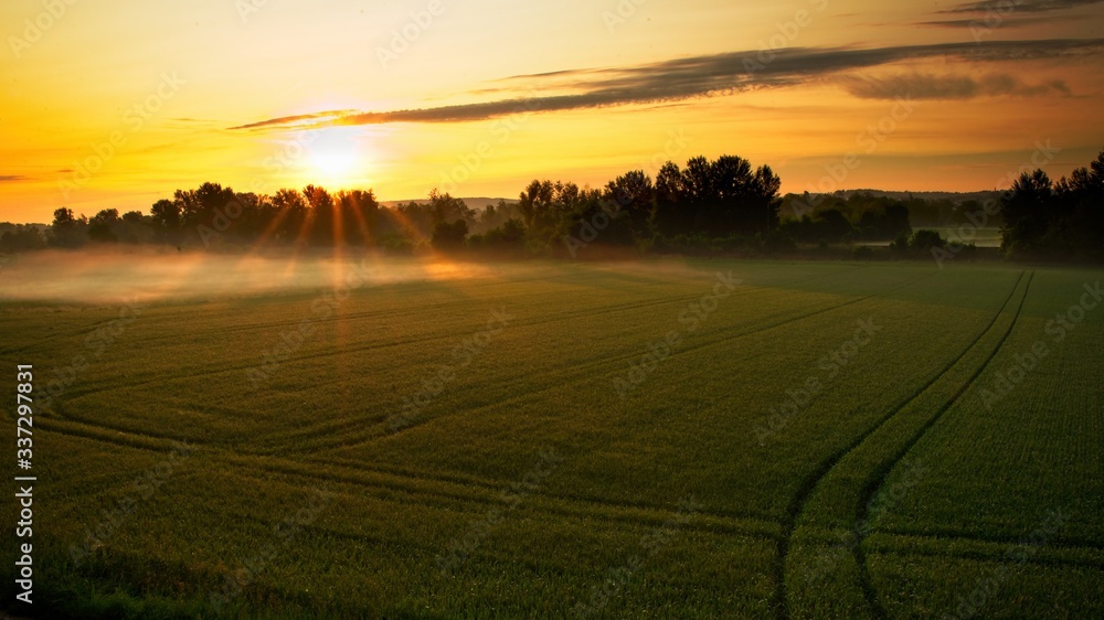 Obraz premium Spring morning