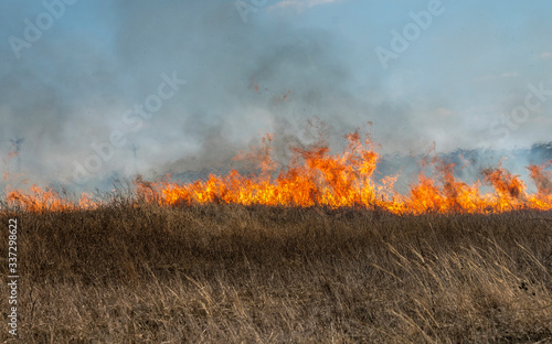 fire in the steppe, the grass is burning destroying everything in its path © Игорь Кляхин