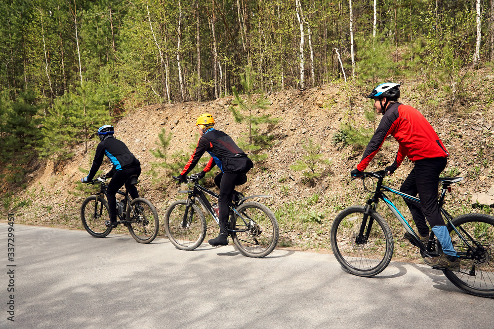 Fototapeta premium group of cyclists on a forest road