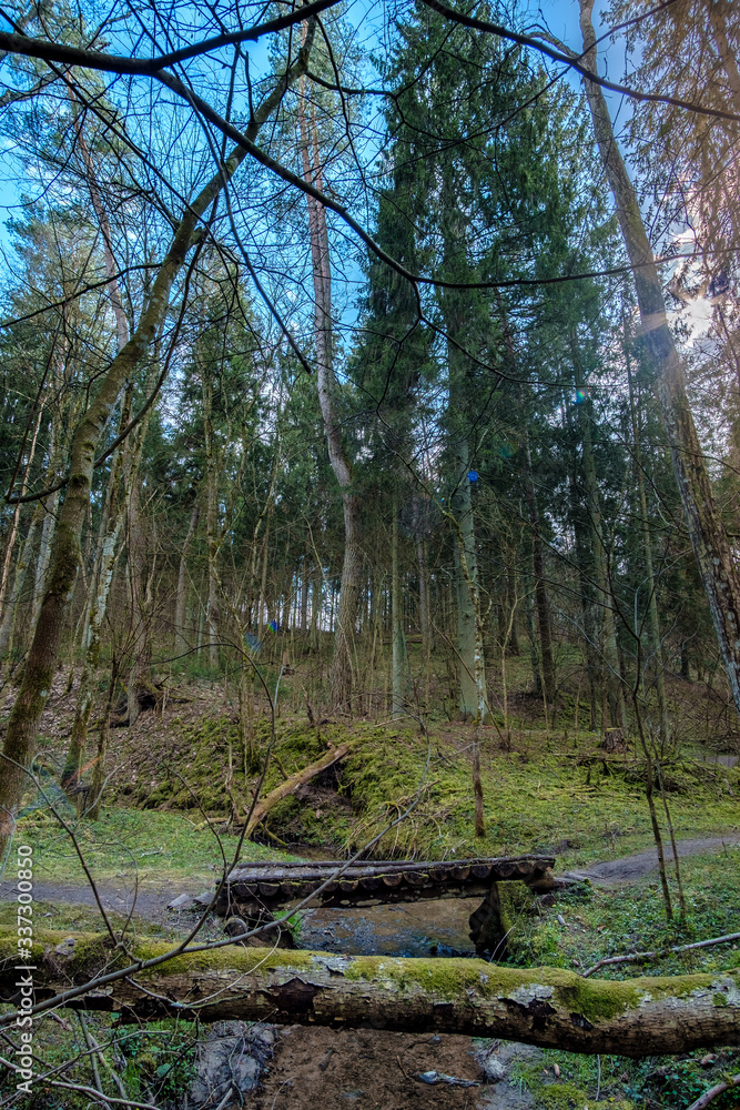 Wooden bridge on the shallow stream in the forest Wooden bridge on the shallow stream in the forest