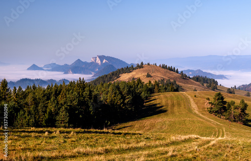 Beautiful, colorful autumn panorama of Pieniny Mountains (Male Pieniny) in the fog and morning light .
Poland, Slovakia.