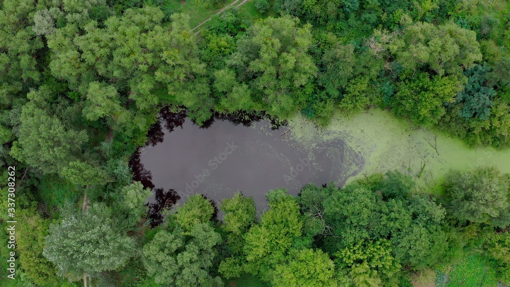 Naklejka premium top view of a mysterious scary lake, a strange place with unusual energyin the green northern Pine forests, lungs of the planet, on the bay - Aerial Flight