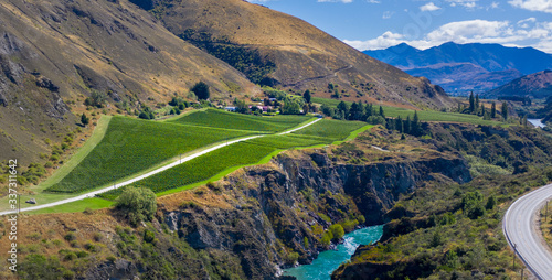Vineyard by Kawarau River, Otago, New Zealand