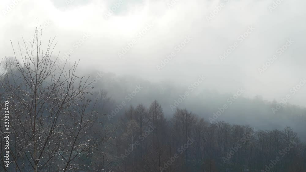 霧の高原 霧の高原