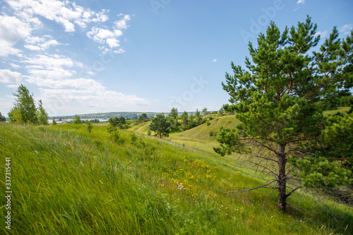 hills overgrown with trees and grass on a sunny day