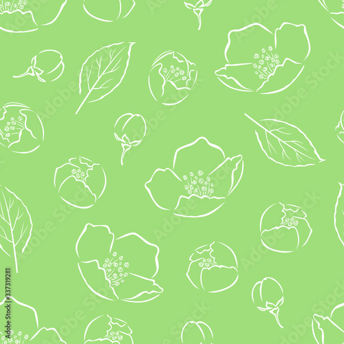 Jasmine flowers, buds and leaf outline seamless pattern. Simple vector monochrome illustration of beautiful spring flower. Floral green background.