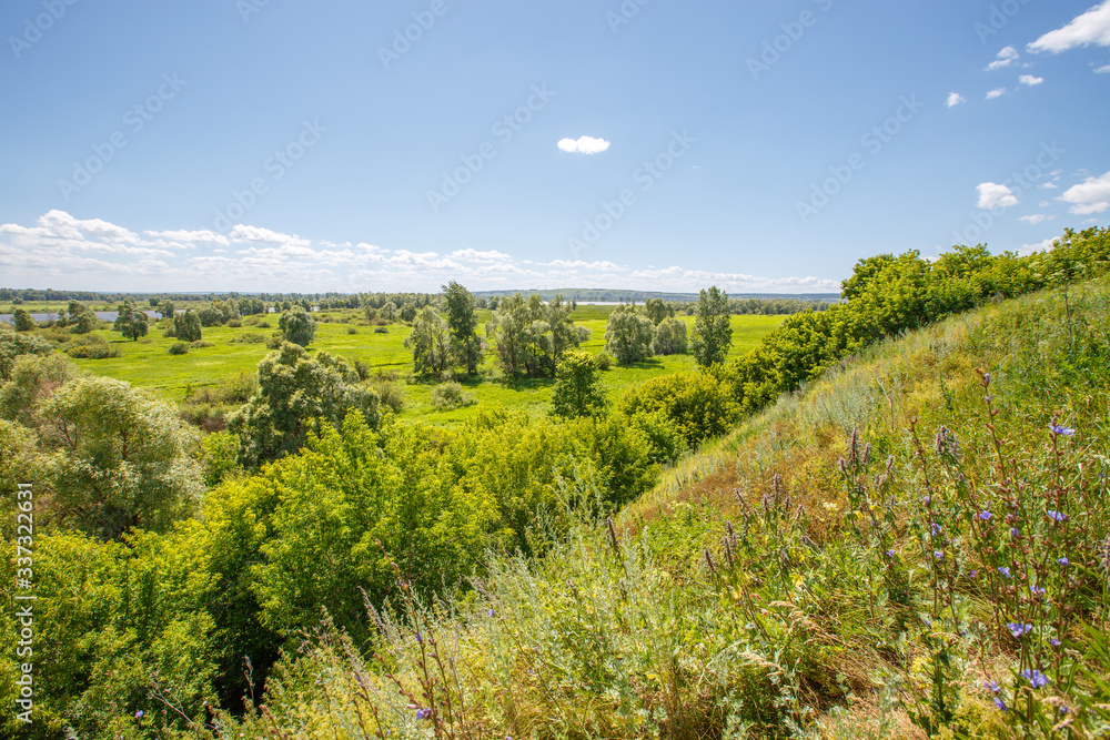 view from the hill to the valley overgrown with trees
