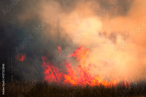 Fire in a dry field spring days, danger and puffs of smoke
