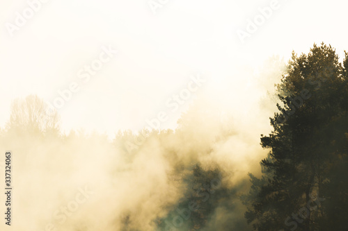 Trees in smoke or fog on the horizon, wallpaper yellow