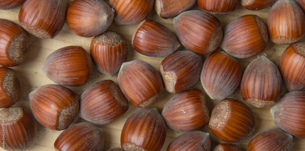 Macro photo Hazelnut nuts. Photo nature food Hazelnut nuts in shell Macro photo Hazelnut nuts. Photo nature food Hazelnut nuts in shell
