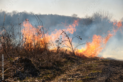 Fire. Burning last year's dry grass with plenty of smoke could turn into a tragedy. © Александр Овсянников