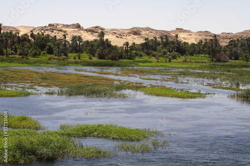
Landscapes on the Nile in Egypt