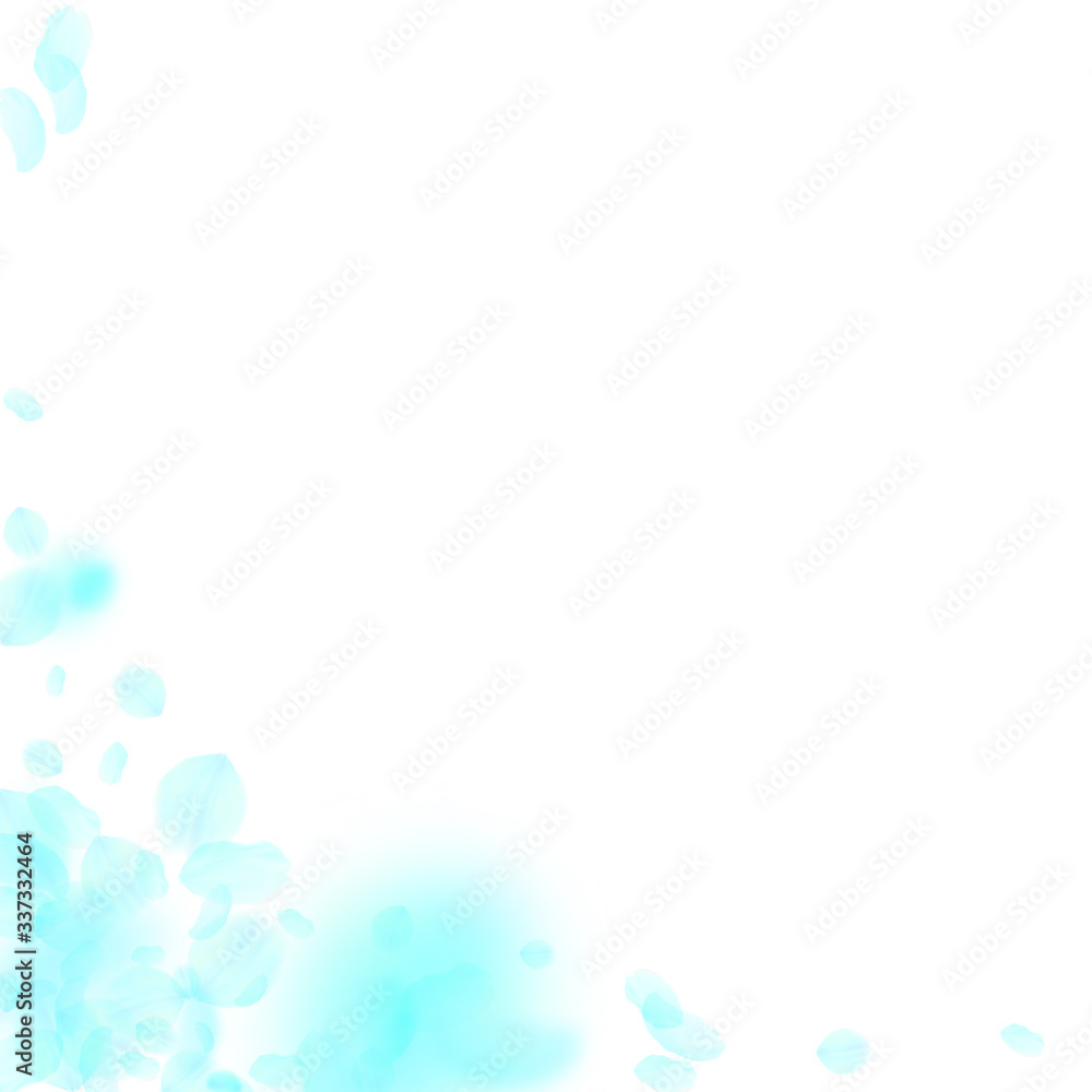 Turquoise flower petals falling down. Energetic ro Turquoise flower petals falling down. Energetic ro