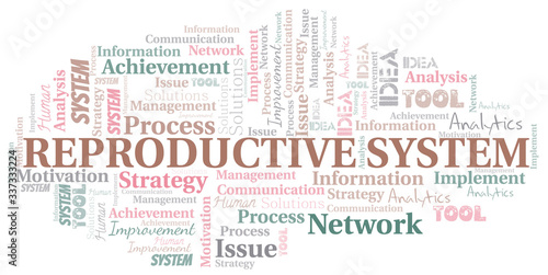 Reproductive System typography vector word cloud.