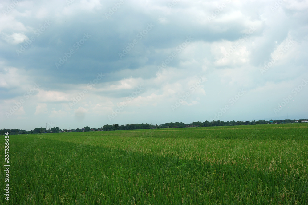Green scenic landscape against cloudy sky Green scenic landscape against cloudy sky