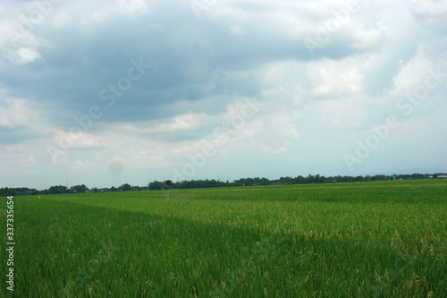 Green scenic landscape against cloudy sky