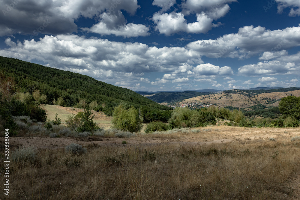 Descending field and valley with forest in summer