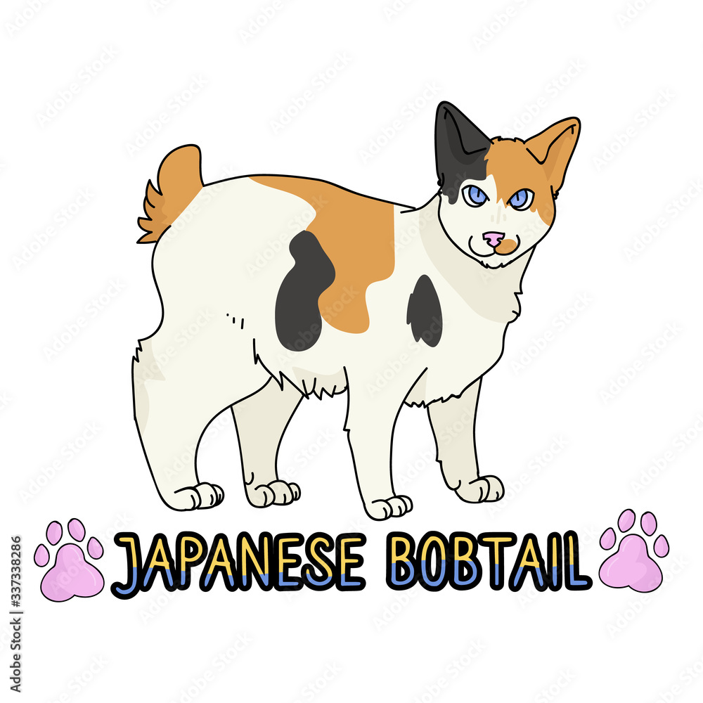 Cute Cartoon Japanese Bobtail Cat Text Vector Clipart Pedigree Kitty
