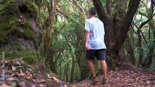 Joven camina entre árboles forestales en el Parque Nacional de Garajonay (La Gomera) Islas Canarias photo