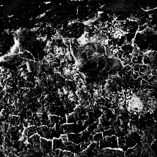 Unique picture drawn by nature that revealed itself on natural object like bark, stone, wall etc. the more you watch the more you see