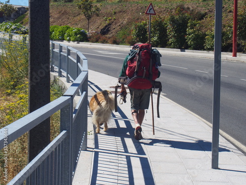 Pilgrim and dog walking on sidewalk, Camino de Santiago, Way of St. James, Journey from Santa Marina to Dumbria, Fisterra-Muxia way, Spain