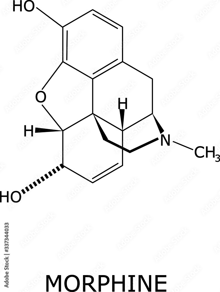 Morphine molecular structure vector, isolated on white background with its name labeled. Pain medication of the opiate family, present in some plants, used to decrease the feeling of pain. Morphine molecular structure vector, isolated on white background with its name labeled. Pain medication of the opiate family, present in some plants, used to decrease the feeling of pain.