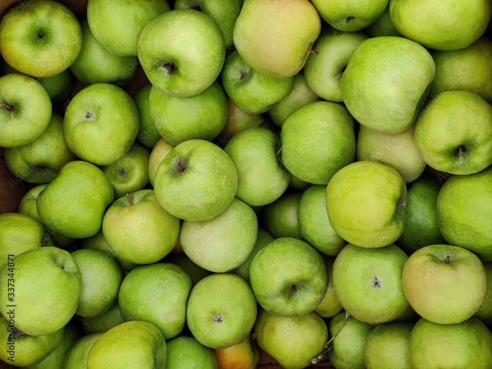 Texture of fresh green juicy apple fruits Texture of fresh green juicy apple fruits