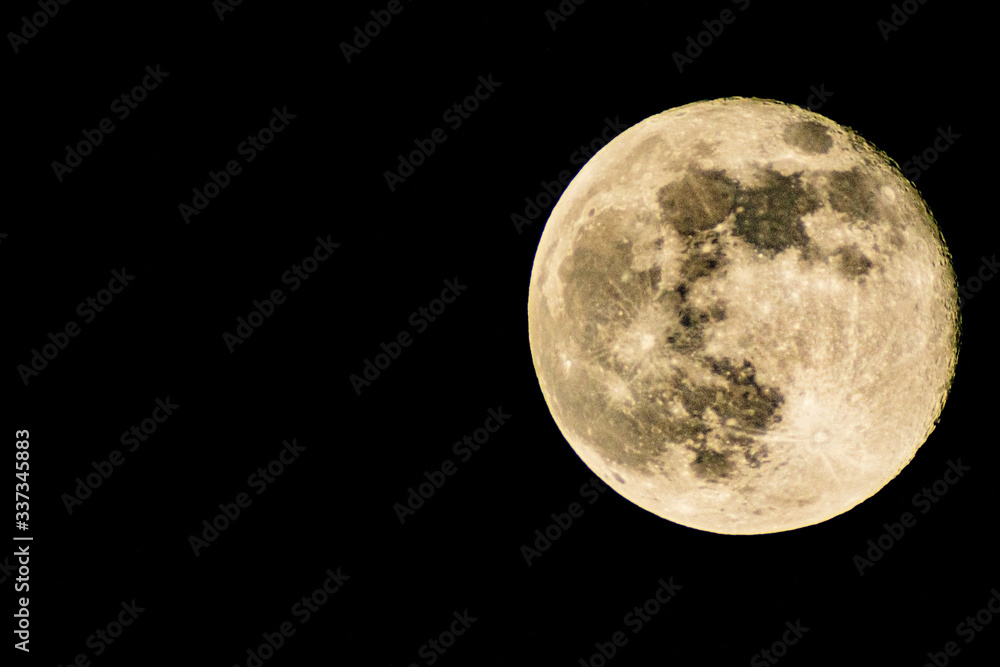 moon in the night moon in the night