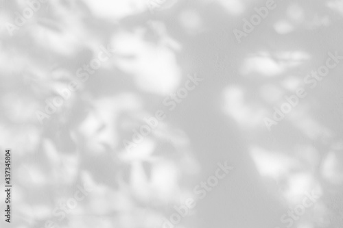 Tree shadow with leaves, trunk, branch and light shadow of big tree on white wall background