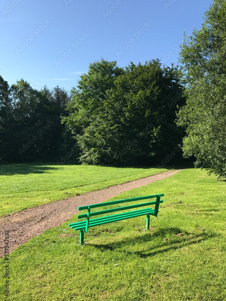 Wooden bench in a public park. Space for copy