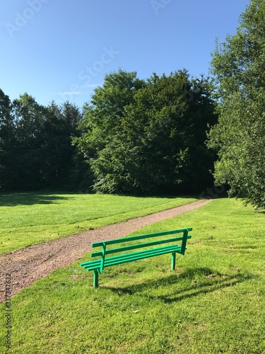 Wooden bench in a public park. Space for copy