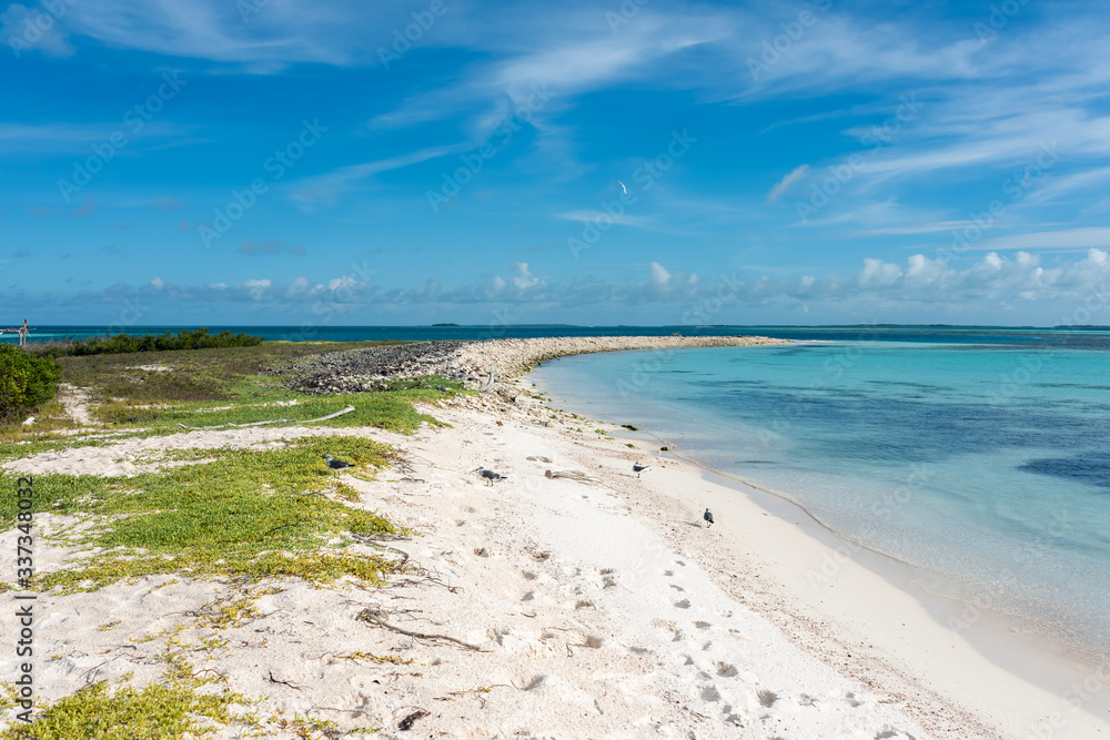 View of  the tropical beach in 