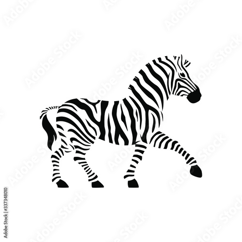 Vector zebra standing isolated on white background graphical sketch