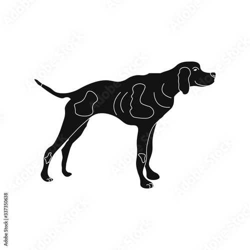 hunting dog with spots  vector illustration