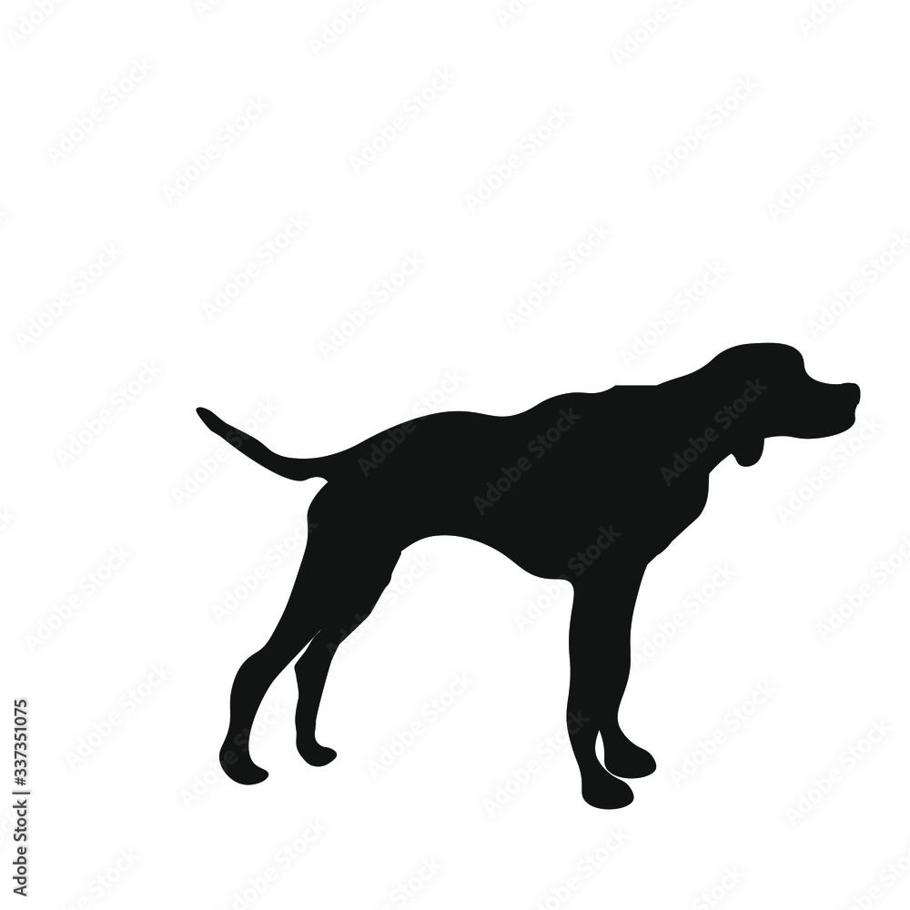 hunting dog with spots, vector illustration