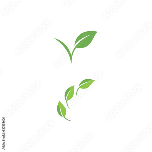 Fototapeta Naklejka Na Ścianę i Meble -  Leaf Logo Template vector symbol