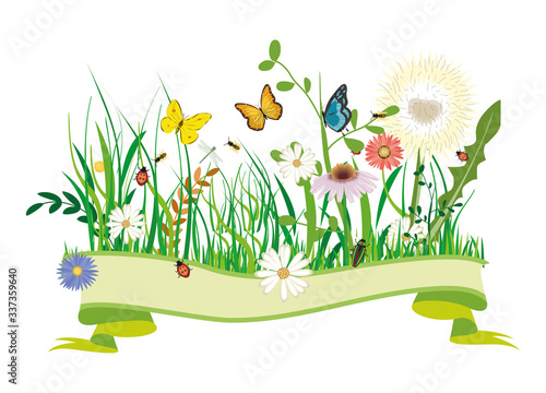 saftige Frühlingswiese mit Blumen und Insekten