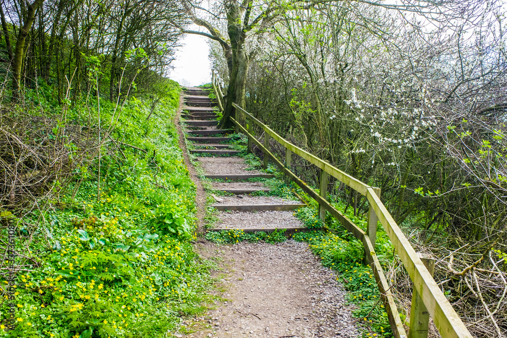 Old Wooden Steps up to towpath on Lancster Canal Old Wooden Steps up to towpath on Lancster Canal
