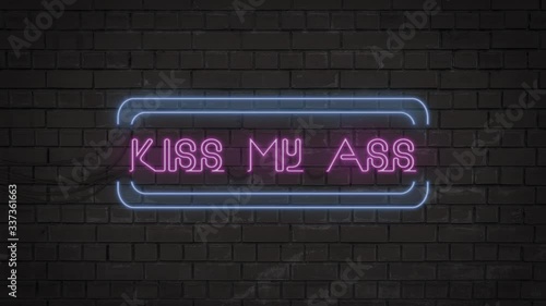 Bright neon sign on a brick wall with the rude and vulgar text 