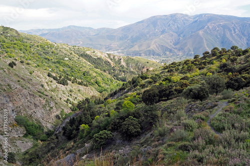 The landscape with the slope with the dark forest, green grass, far mountains, far village, cloudy sky