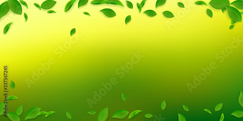 Falling green leaves. Fresh tea chaotic leaves fly