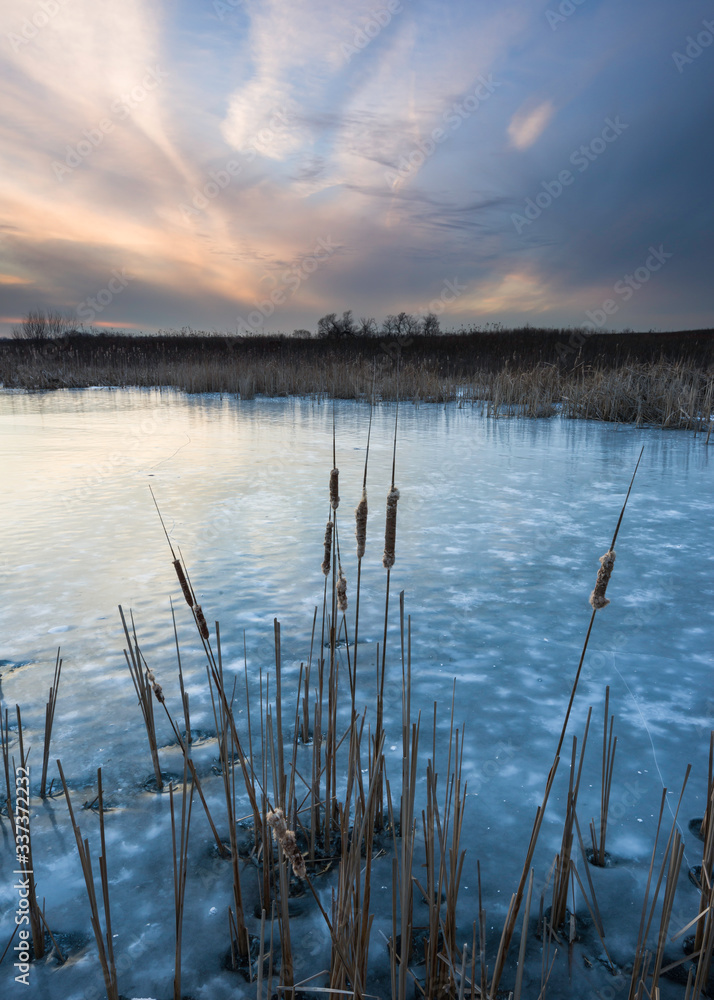Sunset colors begin to fade as dusk settles over a frozen wetland habitat. Sunset colors begin to fade as dusk settles over a frozen wetland habitat.