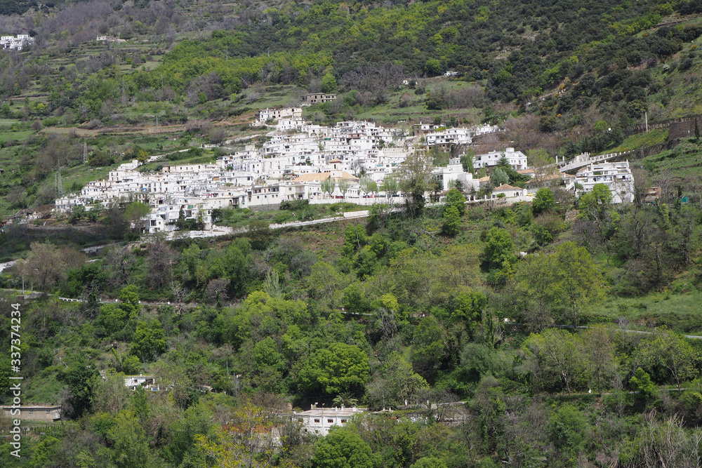 The mountain landscape with the slope covered by green trees and shrubs, the far village with white houses.