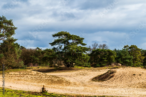 Landscape at Soesterduinen near Amersfoort, Netherlands photo